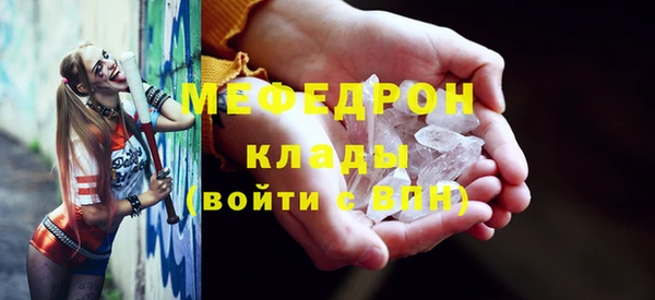 мдпв Верея