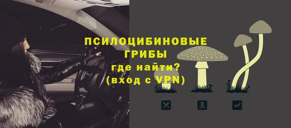 дживик Верхний Тагил