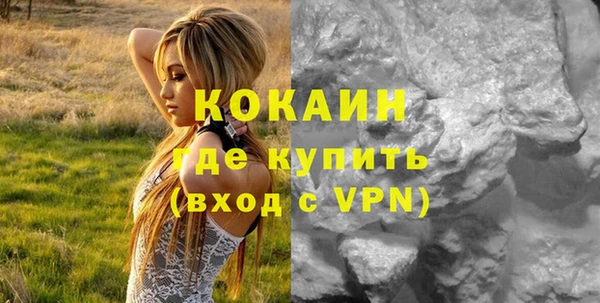 мдпв Верея