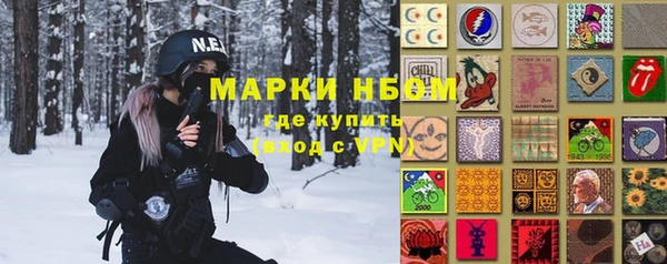 дживик Верхний Тагил