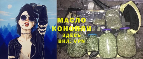 дживик Верхний Тагил