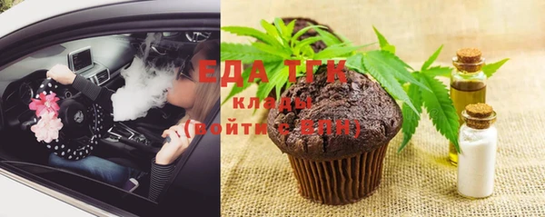 дживик Верхний Тагил