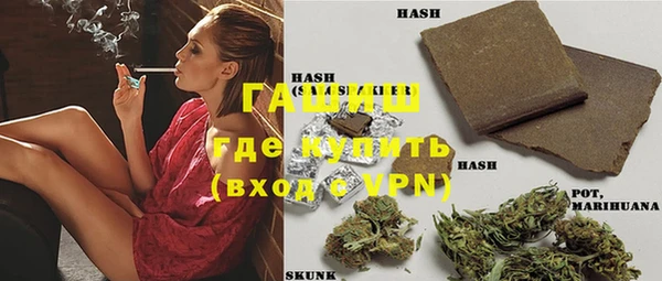 дживик Верхний Тагил