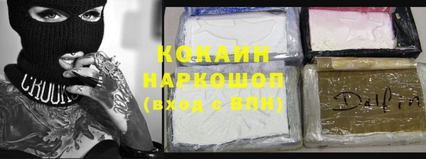 дживик Верхний Тагил
