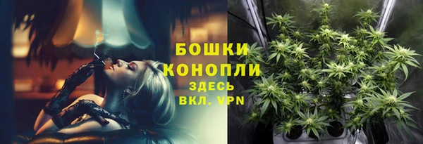 дживик Верхний Тагил