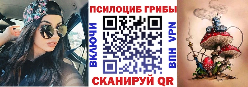 Псилоцибиновые грибы Cubensis  Горбатов 
